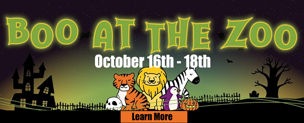 BooattheZoo